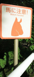 DSC_0020 (2).jpg